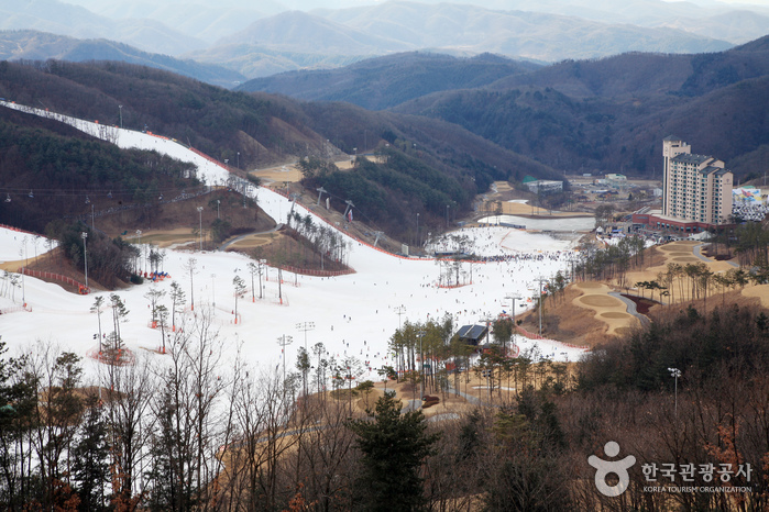 Горнолыжный курорт Oak Valley (오크밸리스키장)