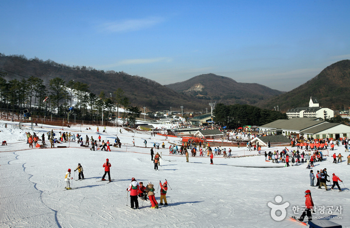 Горнолыжный курорт Чисан Форест (지산 포레스트 리조트 스키장 )