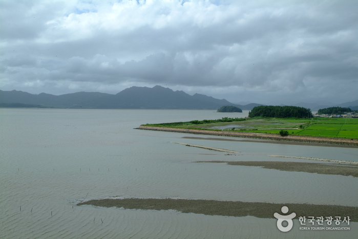 Bahía Gangjinman (강진만)