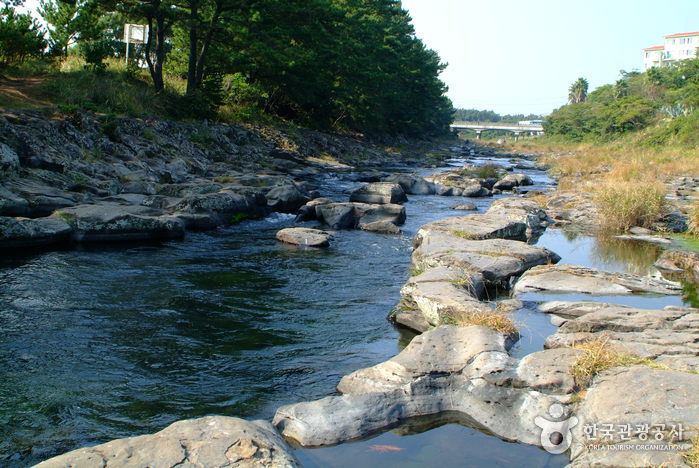 Arroyo Gangjeongcheon (강정천)