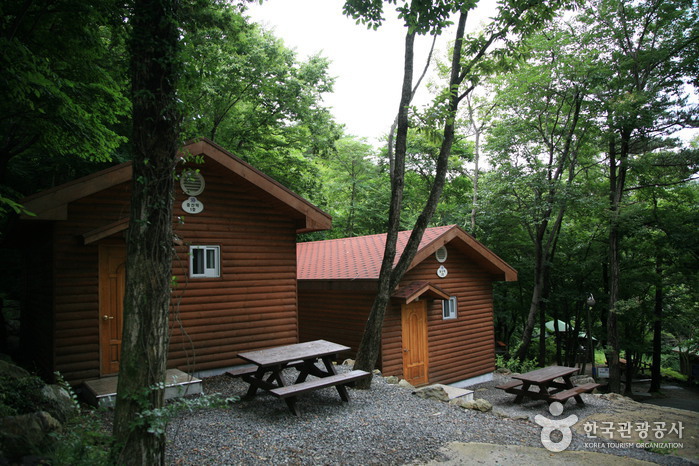 Bosque Recreativo de Geoje (거제자연휴양림)