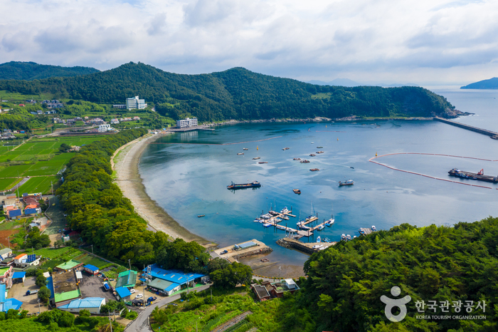 Bosque Bangjoeoburim en Mulgeon-ri de Namhae (남해 물건리 방조어부림)