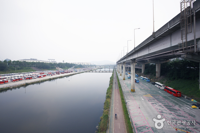 Arroyo Tancheon (탄천)