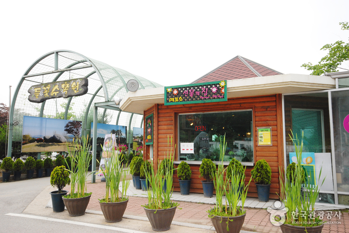 Arboreto de Flores Silvestres de Yangpyeong (양평 들꽃수목원)
