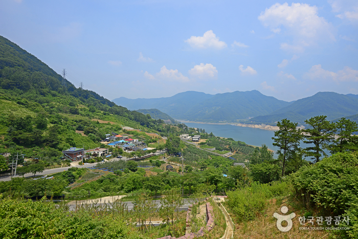 Bosque Recreativo del Monte Gyemyeongsan (계명산자연휴양림) Bosque Recreativo del Monte Gyemyeongsan (계명산자연휴양림)