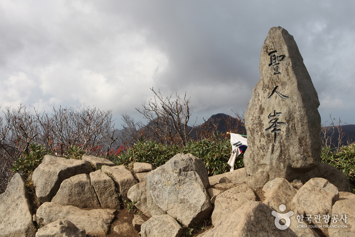 Bosque Primitivo del Pico Seonginbong (성인봉 원시림 (울릉도, 독도 국가지질공원))