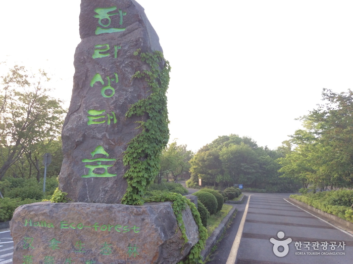 Bosque Ecológico Halla (한라생태숲)