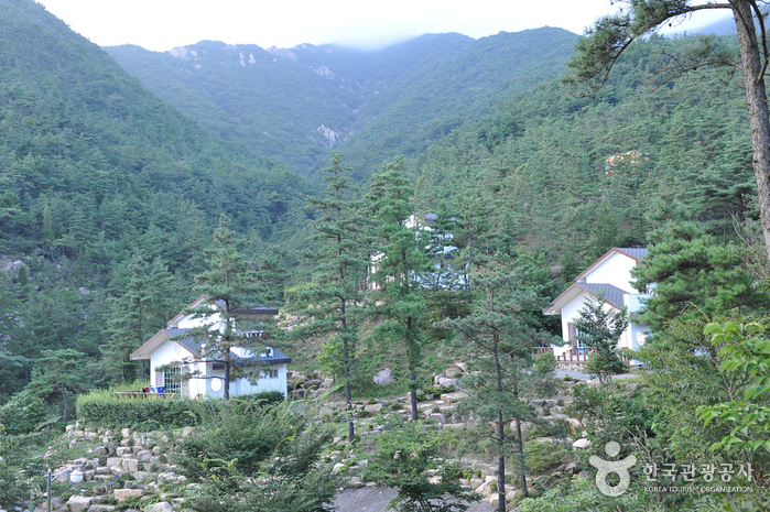Bosque Recreativo Folclórico Nacional de Nagan (국립 낙안민속자연휴양림)