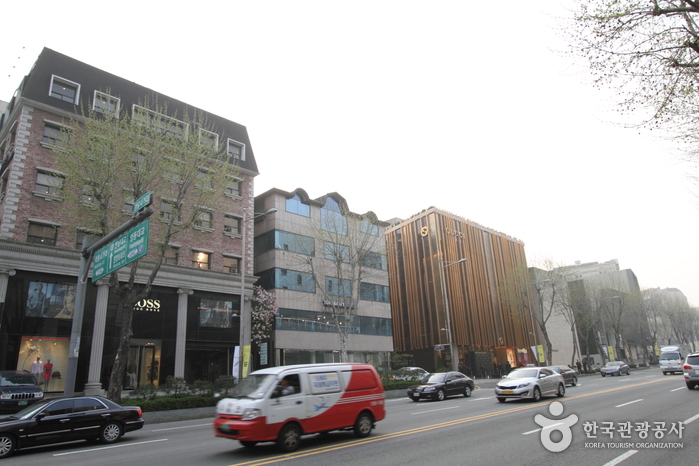 Calle de la Moda Cheongdam (청담패션거리)