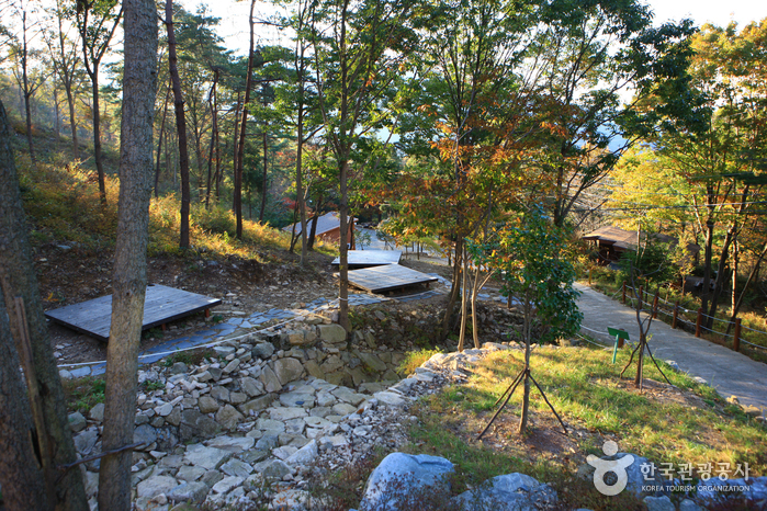Bosque Recreativo Nacional del Monte Cheongwansan (국립 천관산자연휴양림)